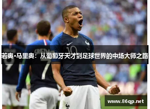 若奥·马里奥：从葡萄牙天才到足球世界的中场大师之路