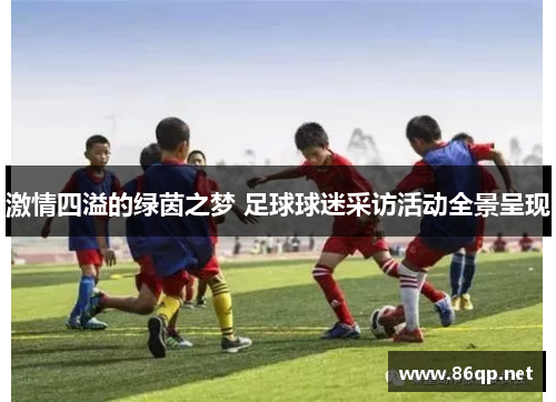 激情四溢的绿茵之梦 足球球迷采访活动全景呈现