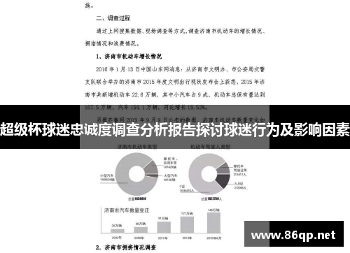 超级杯球迷忠诚度调查分析报告探讨球迷行为及影响因素