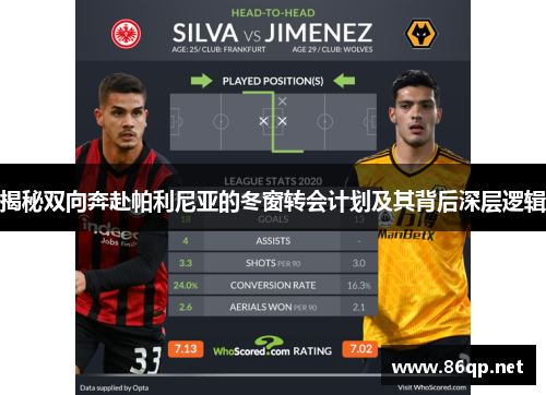 揭秘双向奔赴帕利尼亚的冬窗转会计划及其背后深层逻辑